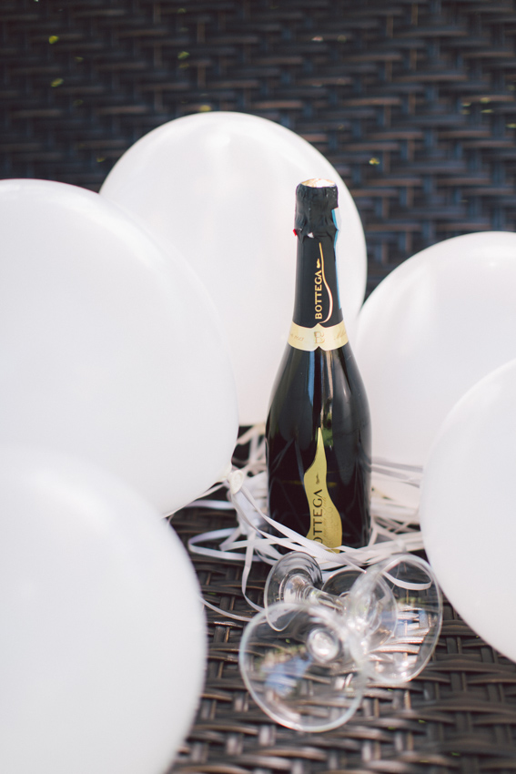 engagement champaign ideas