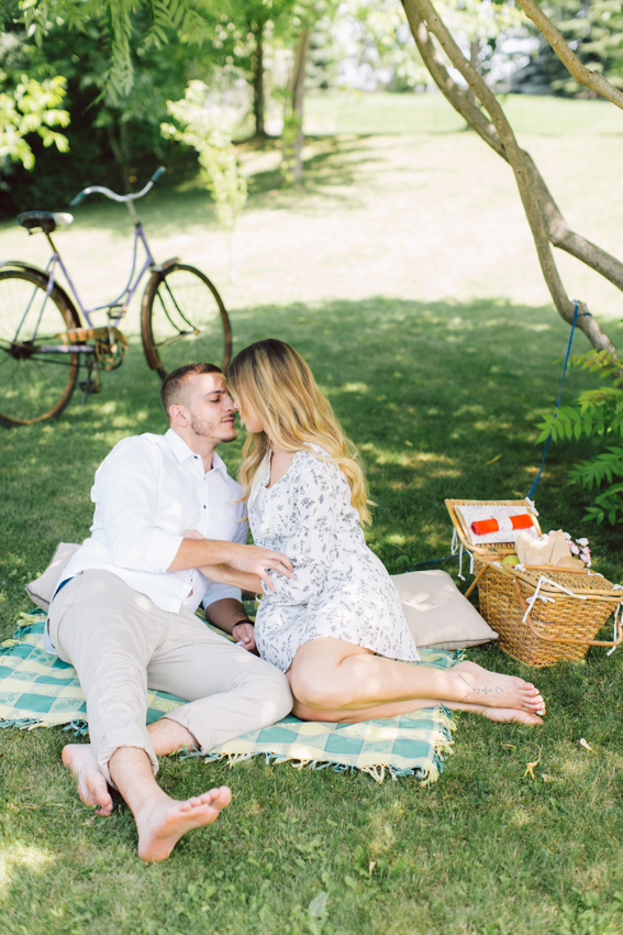 picnic engagement ideas