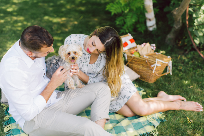 engagement with puppy