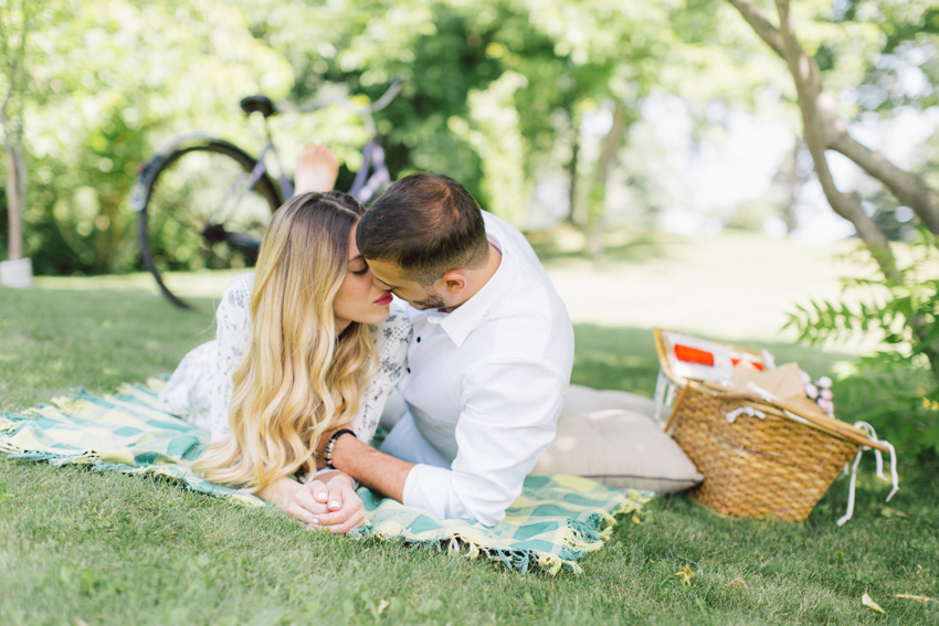 picnic engagement