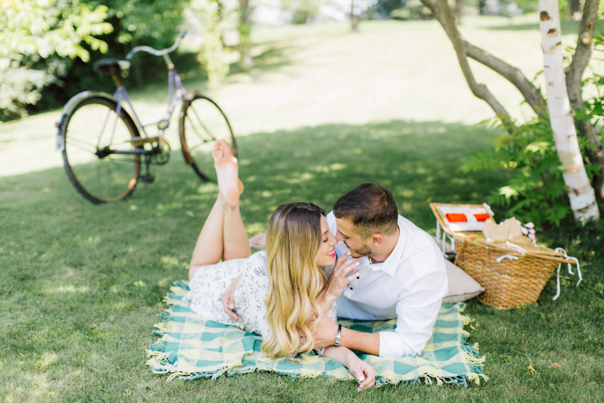 engagement picnic