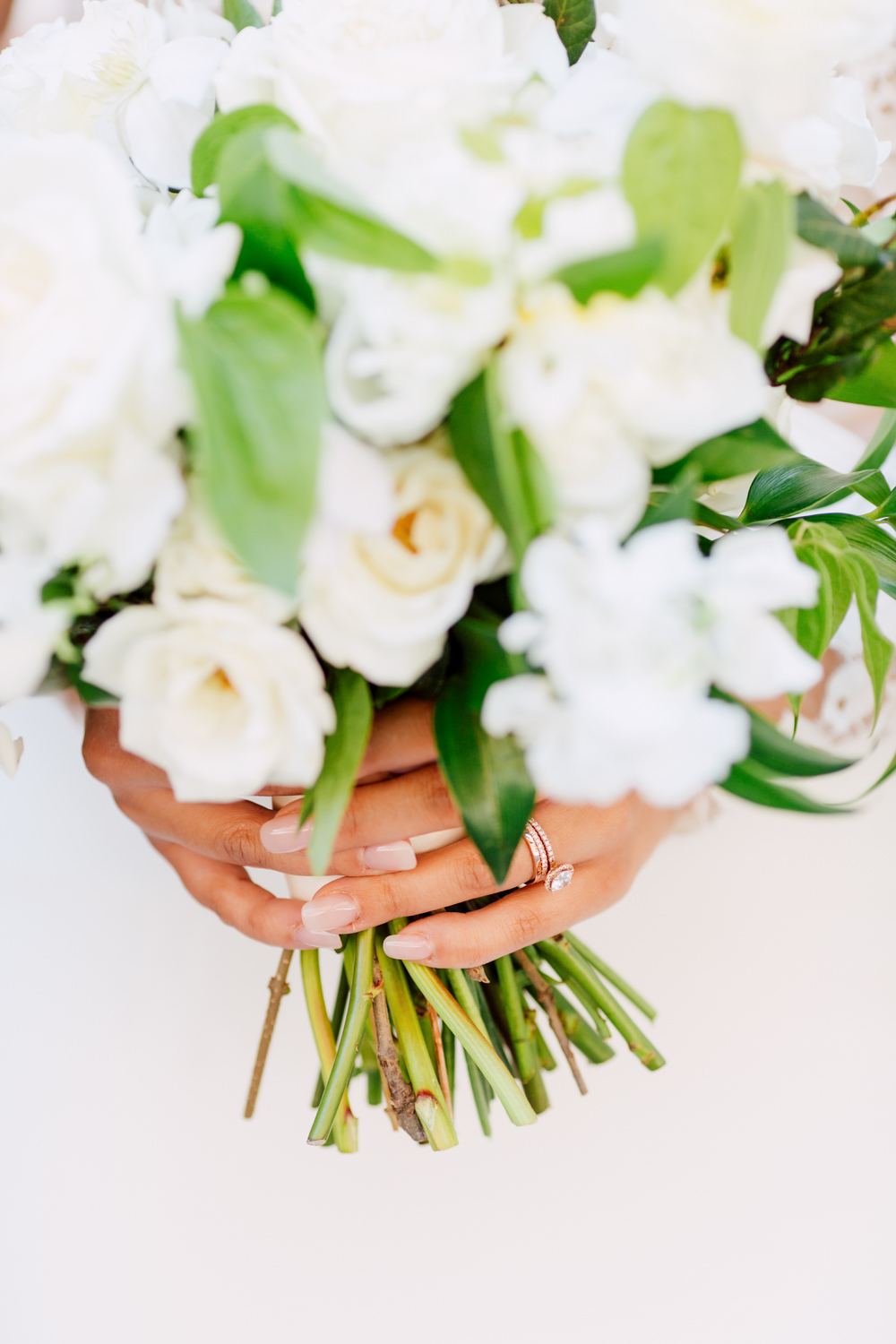 blush & bloom florals